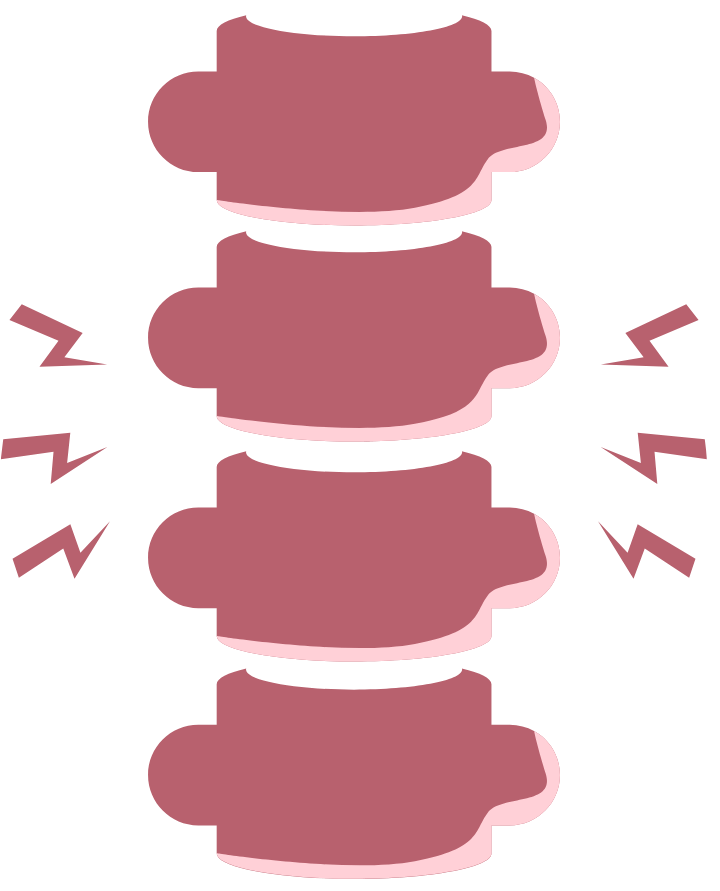 Image of a spine in the BRG Pelvic Floor Therapy brand colors used as a visual for core, hip, and low back concerns.