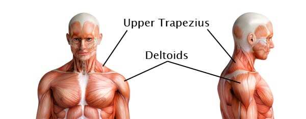 Image of a muscular skeleton showing shoulder imbalance.